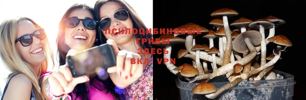 ГАЛЛЮЦИНОГЕННЫЕ ГРИБЫ Вяземский