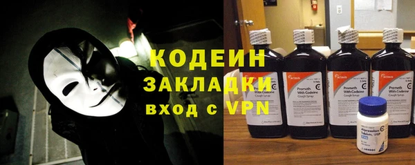 ГАЛЛЮЦИНОГЕННЫЕ ГРИБЫ Вяземский