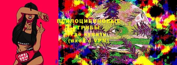 каннабис Гусь-Хрустальный