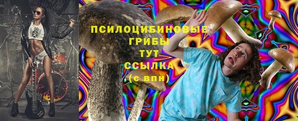 2c-b Горнозаводск