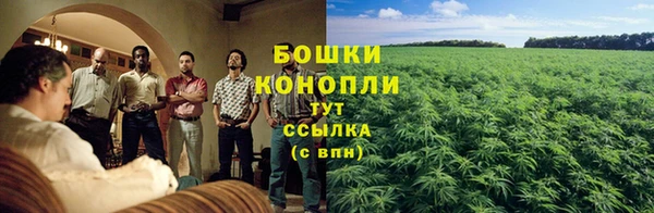 spice Вязники